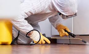 Best Pest Exclusion Services  in Hahira, GA